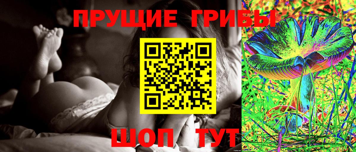 где можно купить   Вход с VPN  Северобайкальск  Галлюциногенные грибы Psilocybine cubensis 