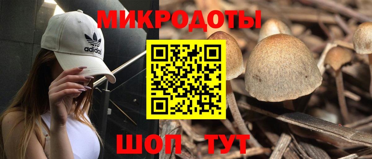 Галлюциногенные грибы Cubensis Северобайкальск